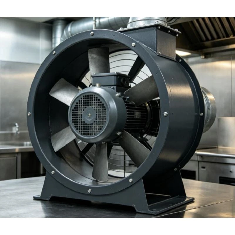 Ventilator de evacuare pentru bucătărie industrială